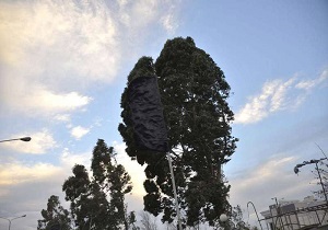 وزش باد‌های نسبتا شدید شمالی در برخی از مناطق استان قزوین