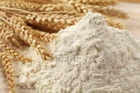 تولید مرغوبترین گندم در آبیک و تحویل بی کیفیت ترین آرد به نانوایان آبیکی